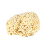 Wool Bath Sponge Large