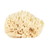 Wool Bath Sponge Small
