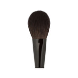 L316 - Powder