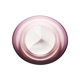 Multi-Active Day Cream SPF 20 / All Skin Types