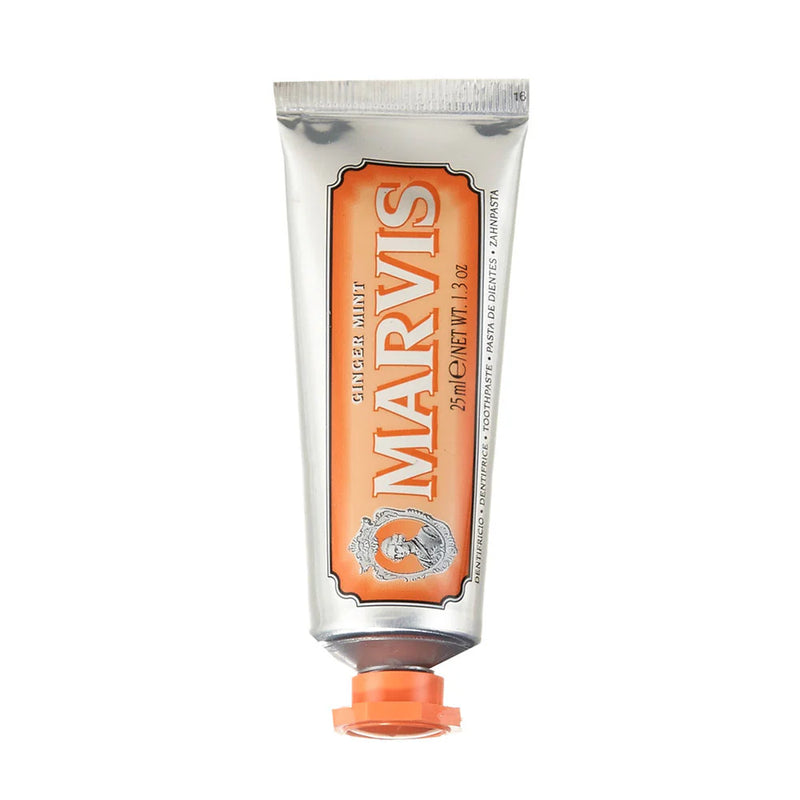 Ginger Mint Toothpaste Travel