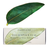 Eucalyptus Leaf - Headache/Sinus Relief Pillow